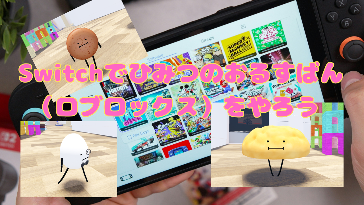ロ ブロックス スイッチ